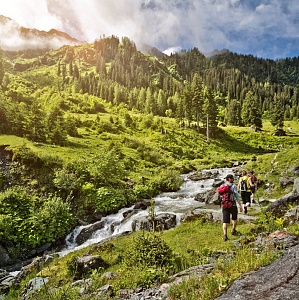 Sommer in Saalbach